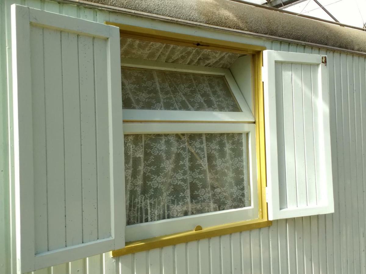 Pipowagen Overnachting Het Houten Huis Zaltbommel Exterior photo