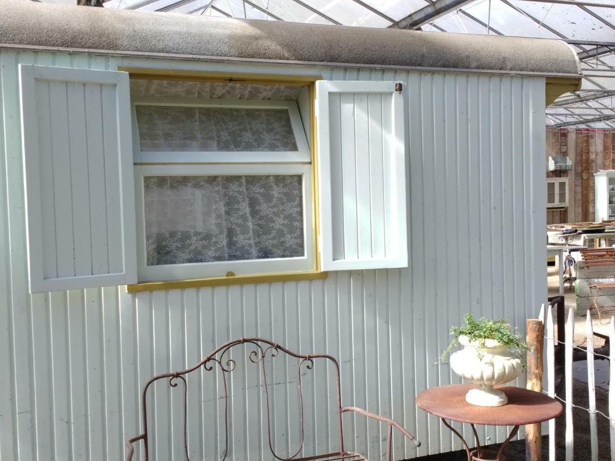 Pipowagen Overnachting Het Houten Huis Zaltbommel Exterior photo